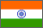 India Flag Icon